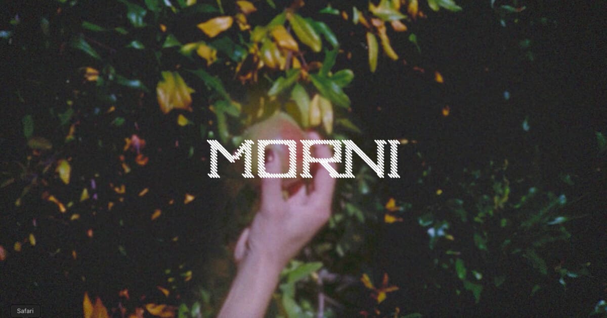 Morni B2B custom clothing platform project